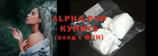 шишки Абаза