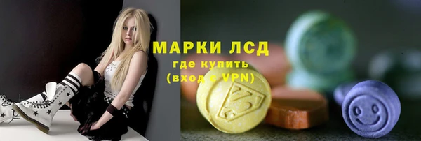 шишки Абаза
