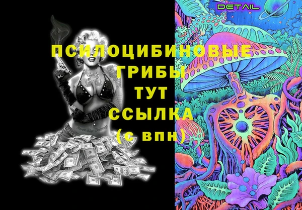 шишки Абаза