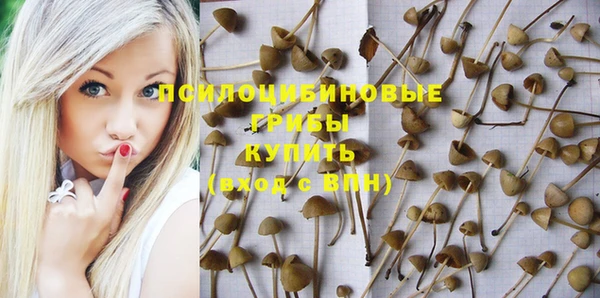 шишки Абаза