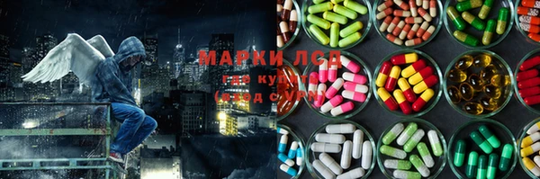 шишки Абаза