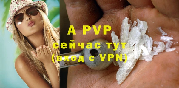 шишки Абаза